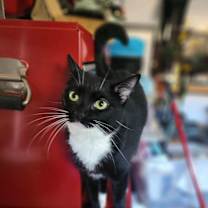 Thumbnail photo of Mila #1