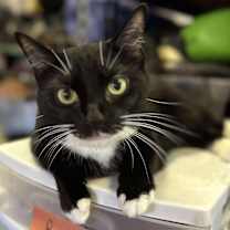 Thumbnail photo of Mila #2