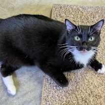 Thumbnail photo of Mila #3