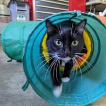 Thumbnail photo of Mila #4