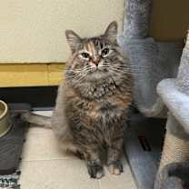 Thumbnail photo of Kiara #2