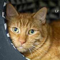 Thumbnail photo of Ray #1