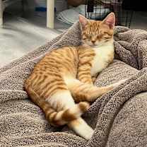 Thumbnail photo of Wednesday #4