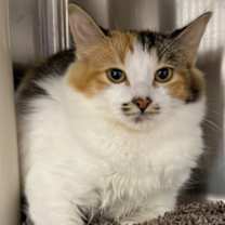 Thumbnail photo of Oatmeal #3