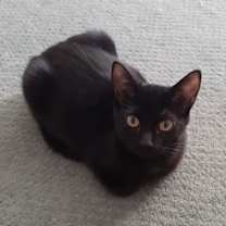 Thumbnail photo of Jacob #1