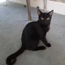 Thumbnail photo of Wilhelm #1