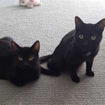 Thumbnail photo of Wilhelm #3