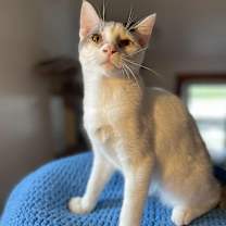 Thumbnail photo of Boots #1