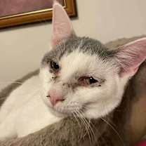 Thumbnail photo of Boots #2