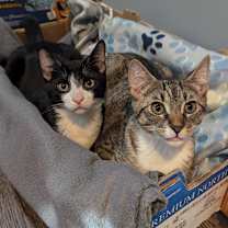 Thumbnail photo of Cash #4