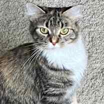 Thumbnail photo of Toast & Sylvester #4