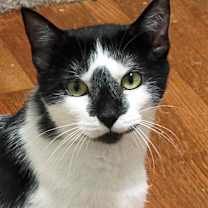 Thumbnail photo of Haruna #1