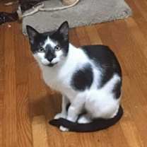 Thumbnail photo of Haruna #2