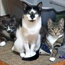 Thumbnail photo of Haruna #3