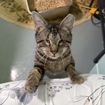 Thumbnail photo of Brucie #1