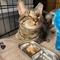 Thumbnail photo of Brucie #2