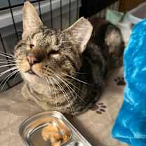 Thumbnail photo of Brucie #3