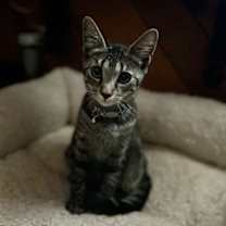 Thumbnail photo of Meg #1