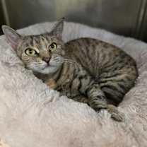 Thumbnail photo of Kenzie #1