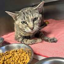 Thumbnail photo of Kenzie #2