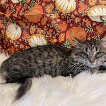 Thumbnail photo of Winzo #2