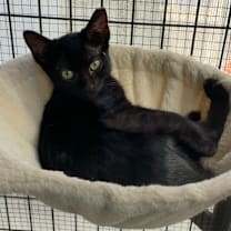 Thumbnail photo of Pip #2