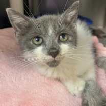 Thumbnail photo of Harry Potter #3