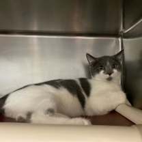 Thumbnail photo of Harry Potter #4