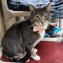 Thumbnail photo of Wally #2