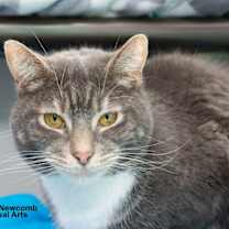 Thumbnail photo of Wally #3