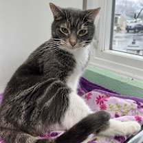 Thumbnail photo of Wally #4