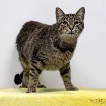 Thumbnail photo of Liora #1