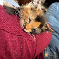 Thumbnail photo of Topaz #2