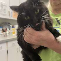 Thumbnail photo of Toes #2