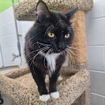 Thumbnail photo of Toes #3