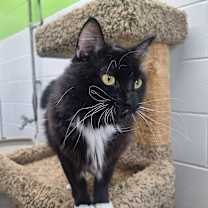 Thumbnail photo of Toes #4