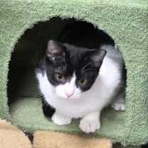 Thumbnail photo of Titan #1