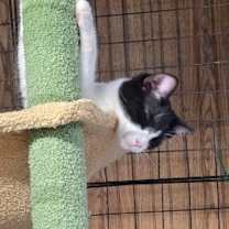 Thumbnail photo of Titan #2