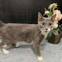 Thumbnail photo of Laticia #4