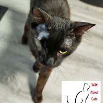 Thumbnail photo of Jett #1