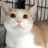 Thumbnail photo of Sammy #2