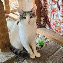 Thumbnail photo of Harold #1