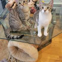 Thumbnail photo of Brienne #1