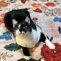 Thumbnail photo of Andy Anderson #1