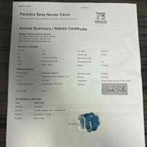 Thumbnail photo of Sylvester #2