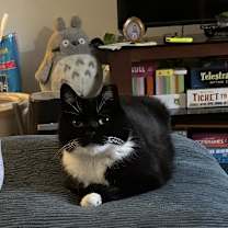 Thumbnail photo of Penelope Pussycat #1