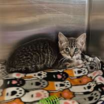 Thumbnail photo of Leila  #2