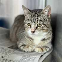 Thumbnail photo of Laney #2