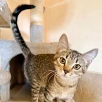 Thumbnail photo of Nessa #2