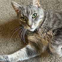 Thumbnail photo of Dewey #1